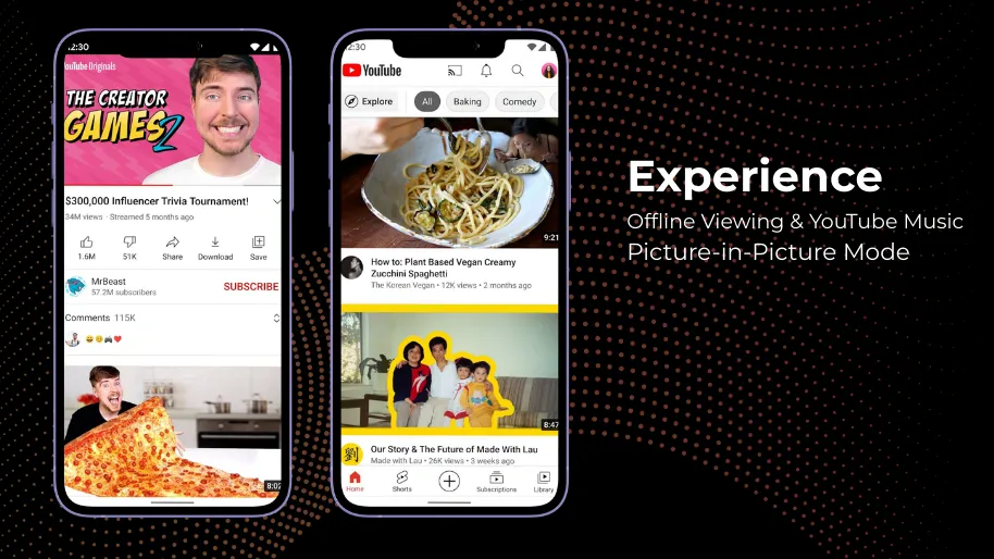 YouTube Premoum Mod Picture-in-Picture Mode